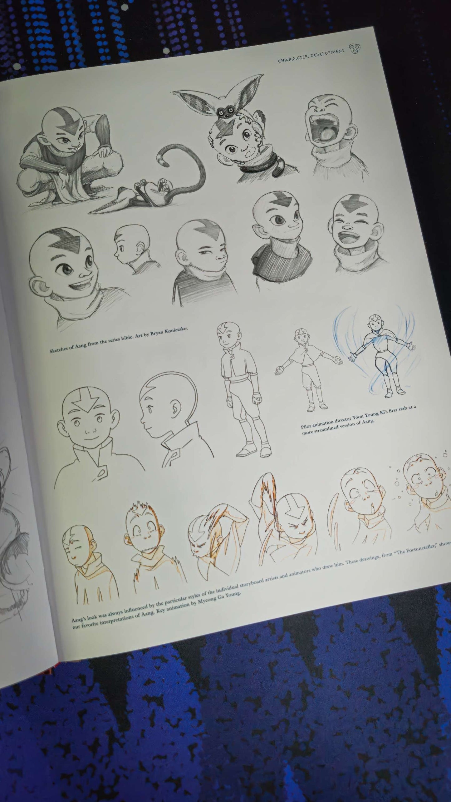 Avatar The Last Airbender : The Art of the Animated Series