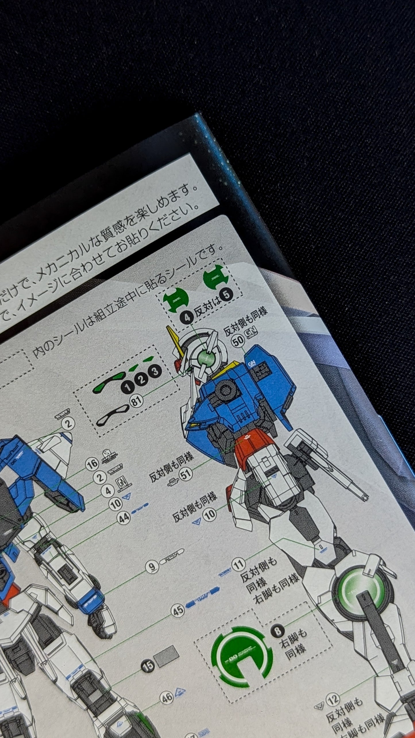 RG GN-0000+GNR-010 OO Raiser
